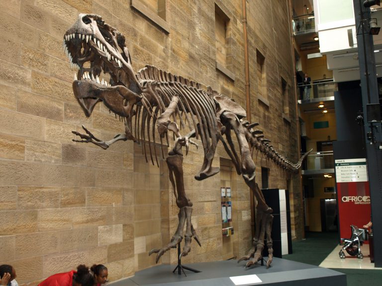 australia-museum